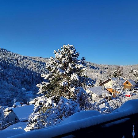 Grosse Ferienwohnung In Ruhiger Lage Mit Toller Aussicht In Triberg Triberg im Schwarzwald Exterior foto