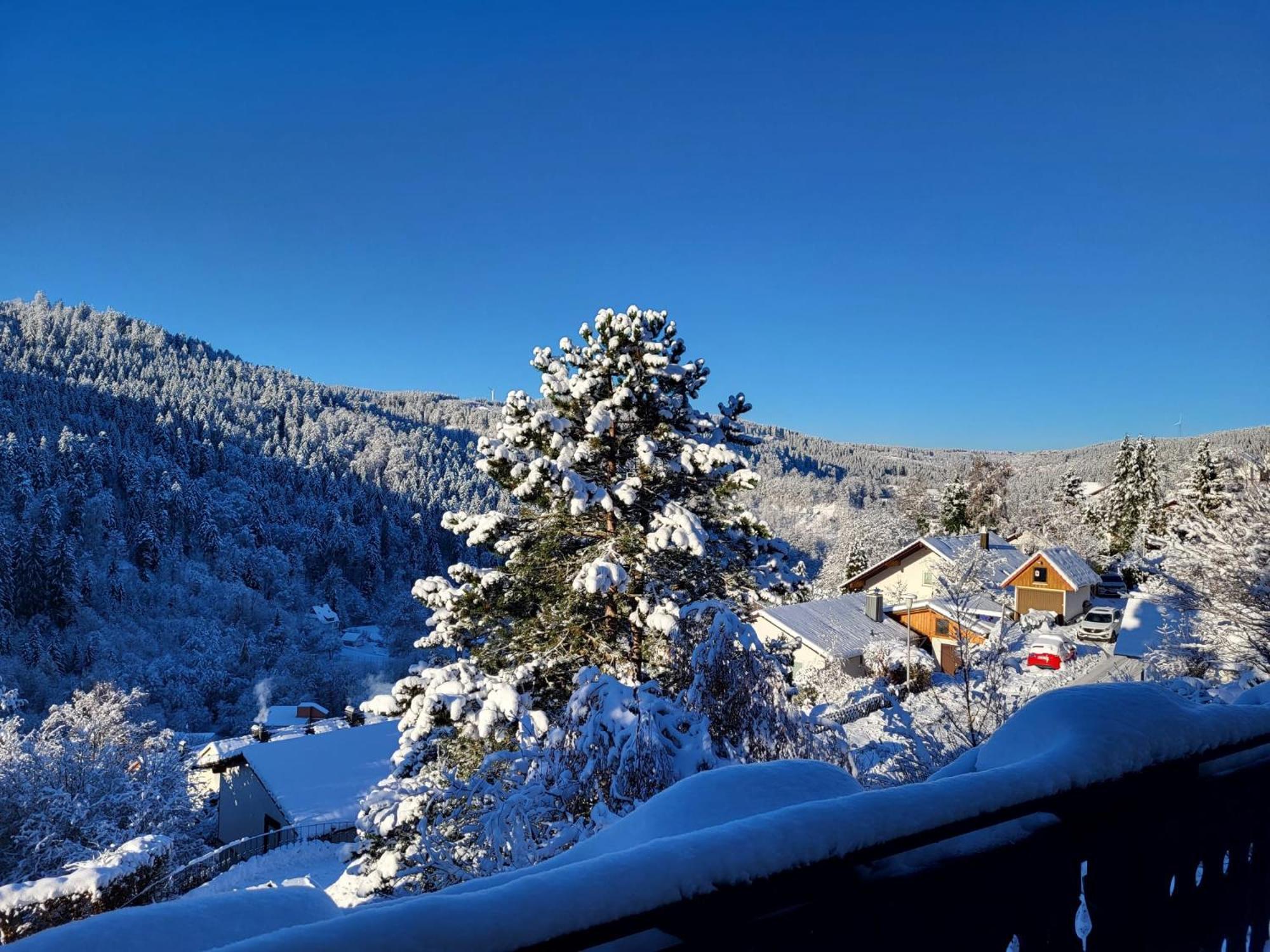 Grosse Ferienwohnung In Ruhiger Lage Mit Toller Aussicht In Triberg Triberg im Schwarzwald Exterior foto
